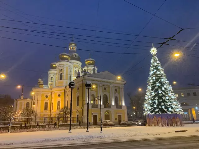 метро Владимирская ул Колокольная 2/18 Ленинградская область фото