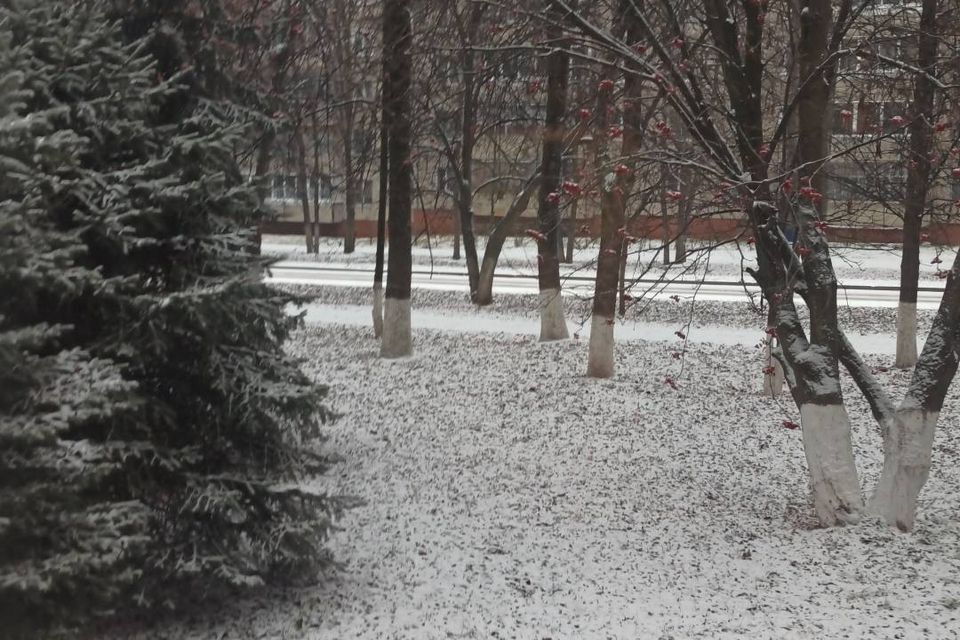 квартира г Новочебоксарск проезд Ельниковский 10 городской округ Новочебоксарск фото 2