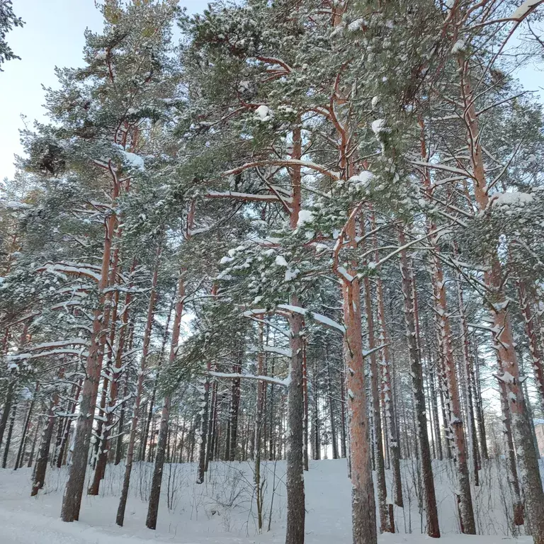 дом р-н Кондопожский с Кончезеро ул Озерная 6 фото 17