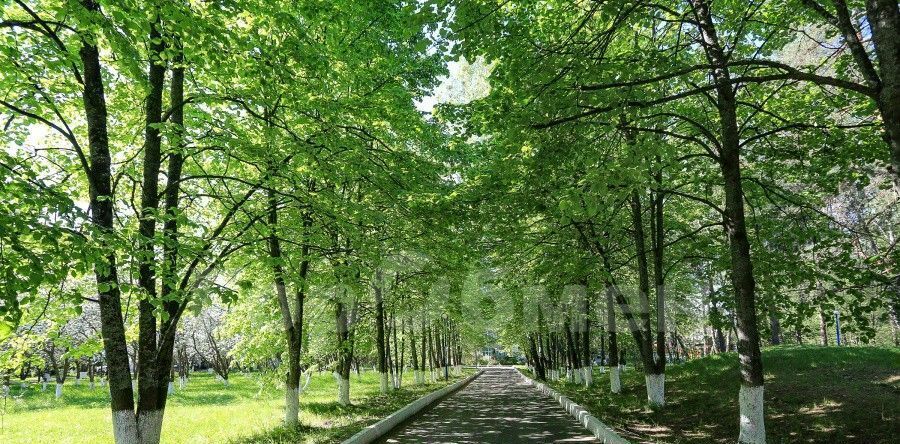 квартира городской округ Одинцовский д Гигирево ОК Жемчужина тер., Строгино, к Ж фото 31