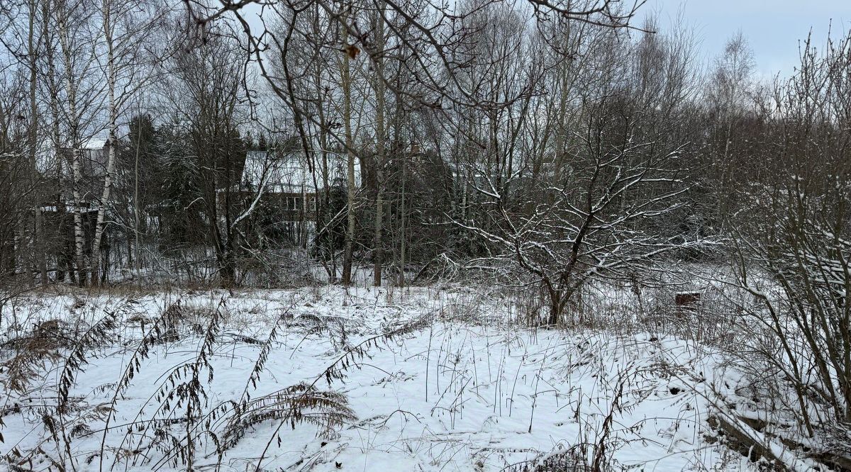 офис городской округ Богородский д Боково фото 1