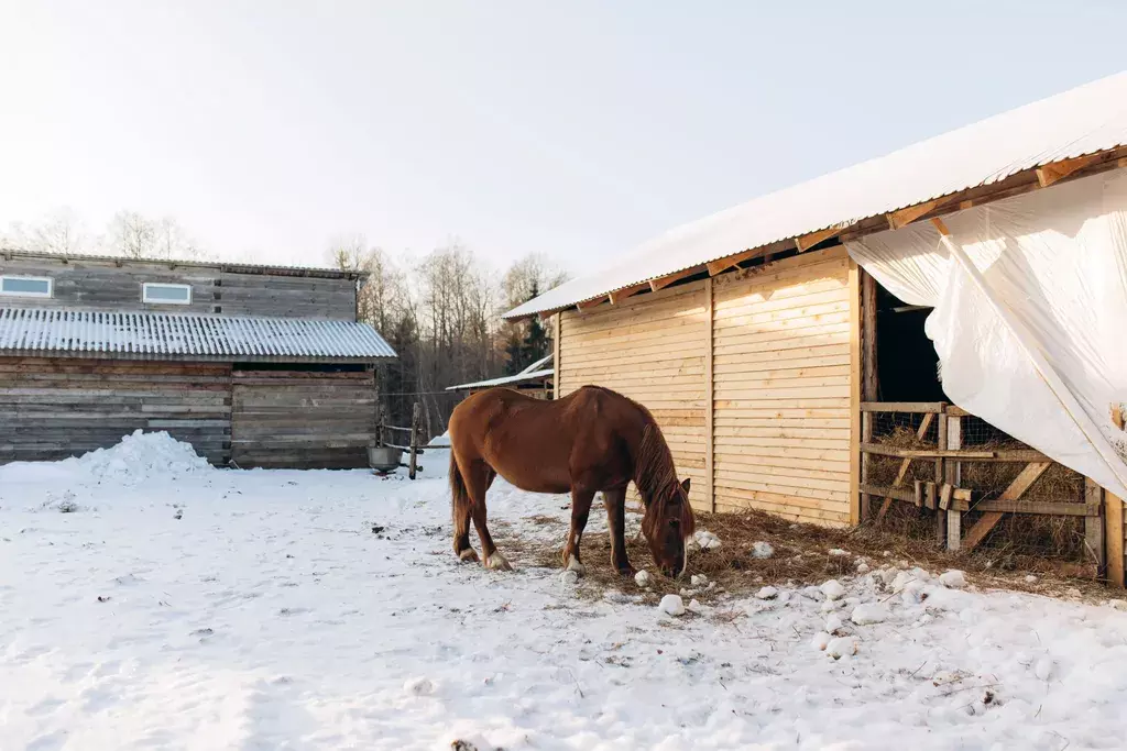 дом р-н Осташковский г Осташков Селигер, Старый Сиг территория, 2 фото 10