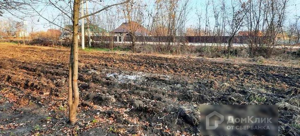 земля р-н Белгородский п Северный ул Дачная фото 3