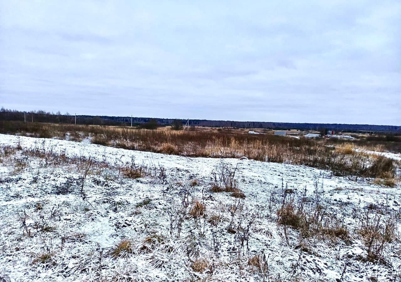 земля городской округ Егорьевск д Полбино 103 км, Егорьевск, Новорязанское шоссе фото 3