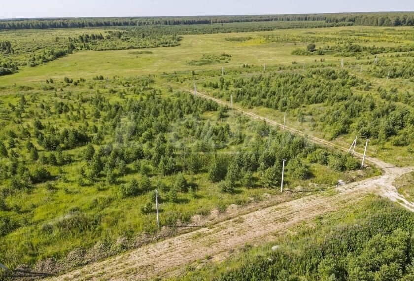 земля р-н Нижнетавдинский д Московка Тюмень фото 1