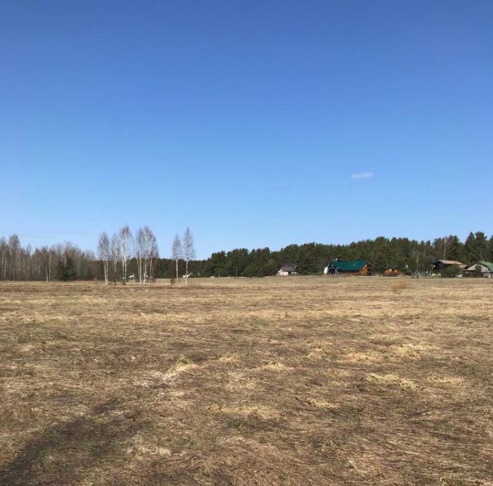 земля р-н Выборгский п Овсяное Рощинское городское поселение фото 2