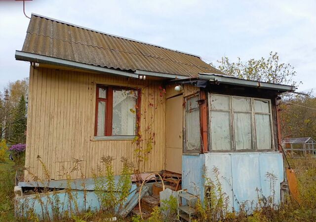 п Рассвет Центральное, муниципальное образование, СНТ Химик фото