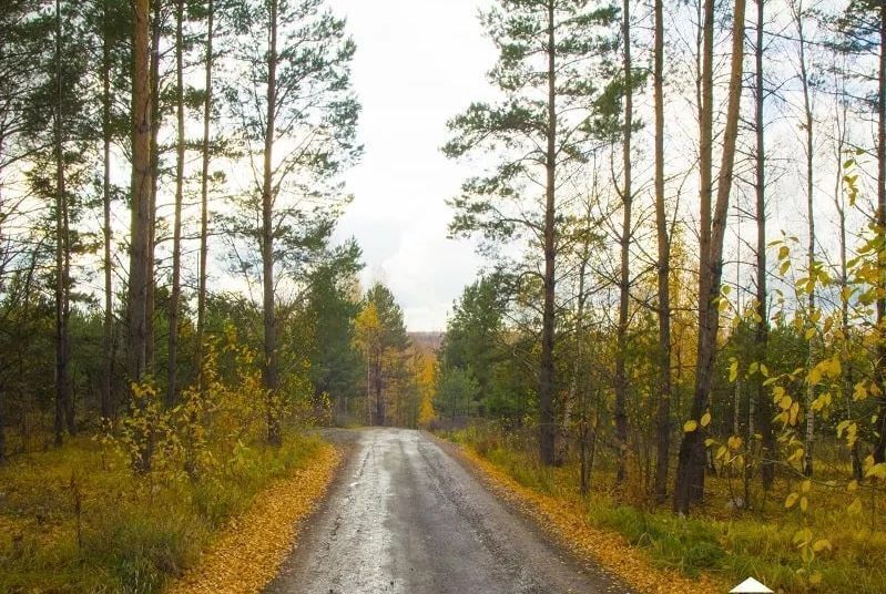 земля р-н Зеленодольский с Осиново Республика Татарстан Татарстан, Большекургузинское сельское поселение фото 8