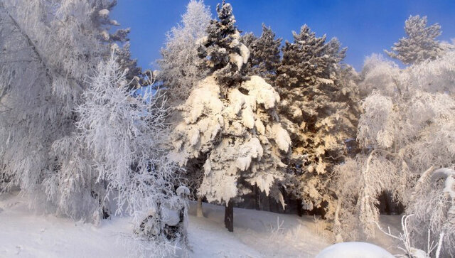 ул Центральная Парковая 20 загородный комплекс Лайф фото