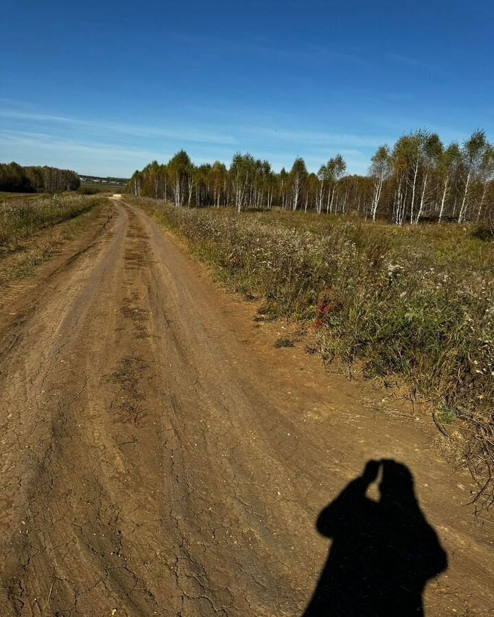 земля р-н Аргаяшский д Березовка Кулуевское сельское поселение, Аргаяш фото 4