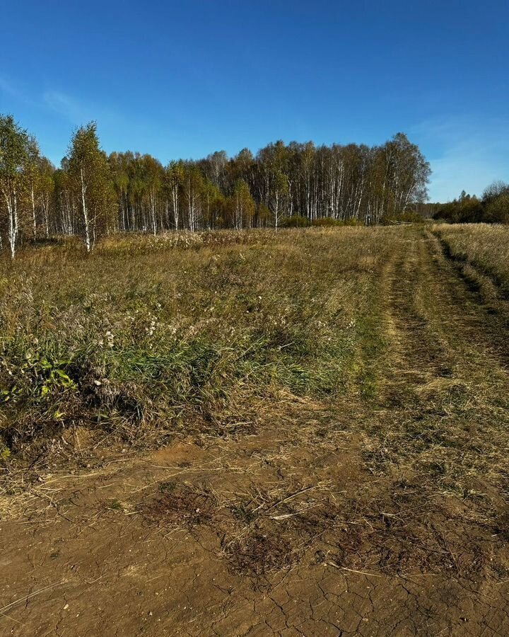 земля р-н Аргаяшский д Березовка Кулуевское сельское поселение, Аргаяш фото 3