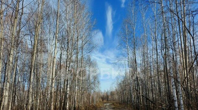 снт Сундукульский разрез фото