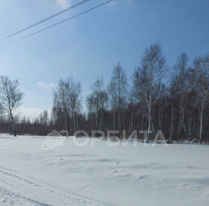 земля р-н Тюменский с Борки ул Береговая 1 фото 4