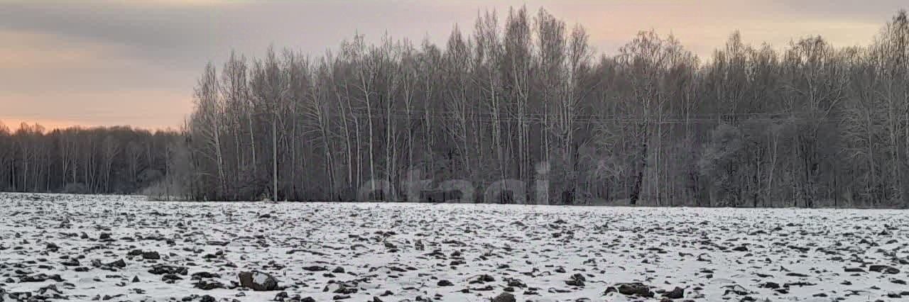 земля р-н Нижнетавдинский п Чугунаево фото 4