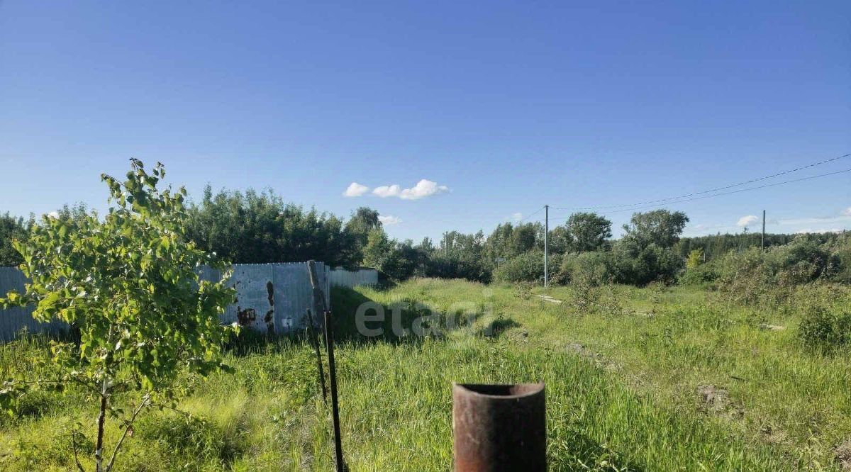 земля р-н Тюменский д Молчанова ул Советская фото 11