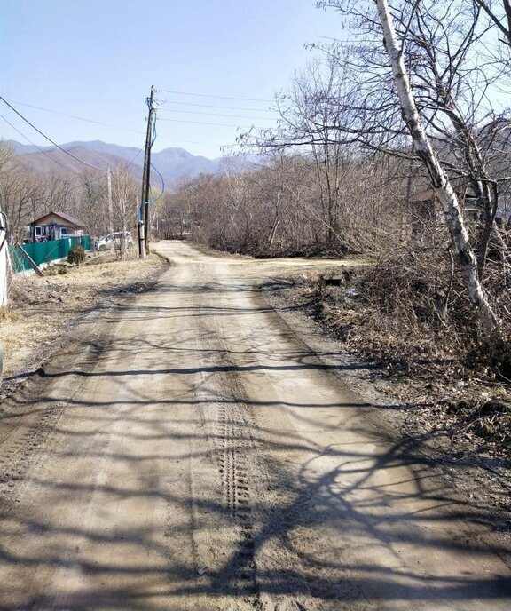 земля р-н Партизанский с Владимиро-Александровское ул Южная фото 5