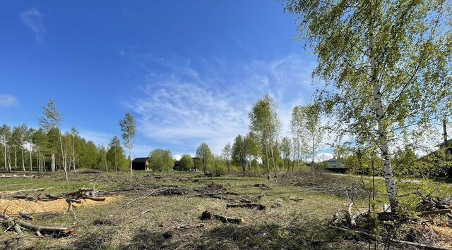 земля Переславль-Залесский муниципальный округ фото