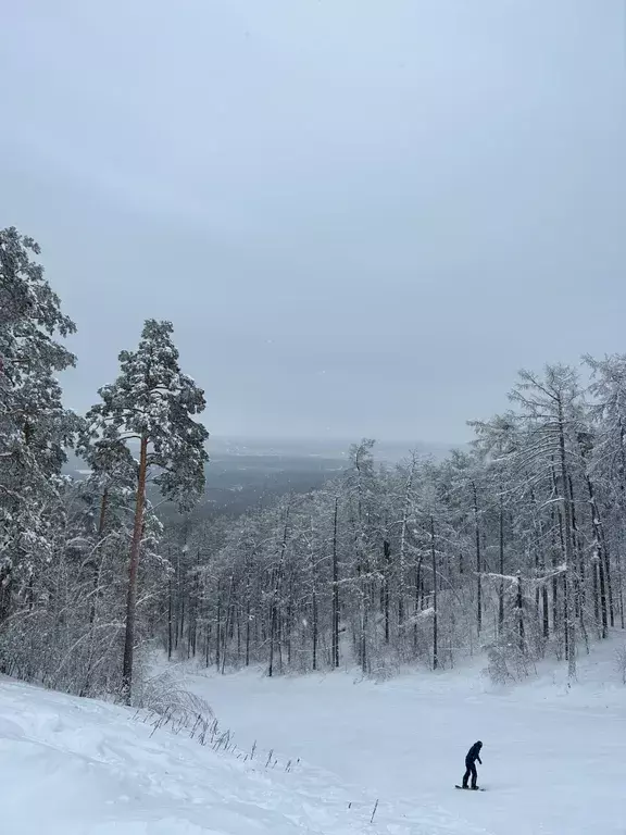 квартира г Карабаш п Красный Камень 21, Увильды фото 17