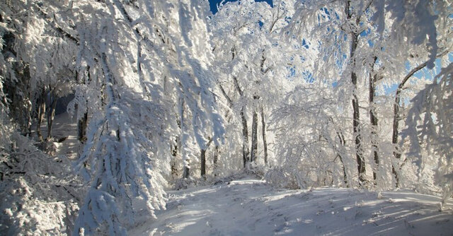 ул Центральная Парковая 18 загородный комплекс Лайф фото