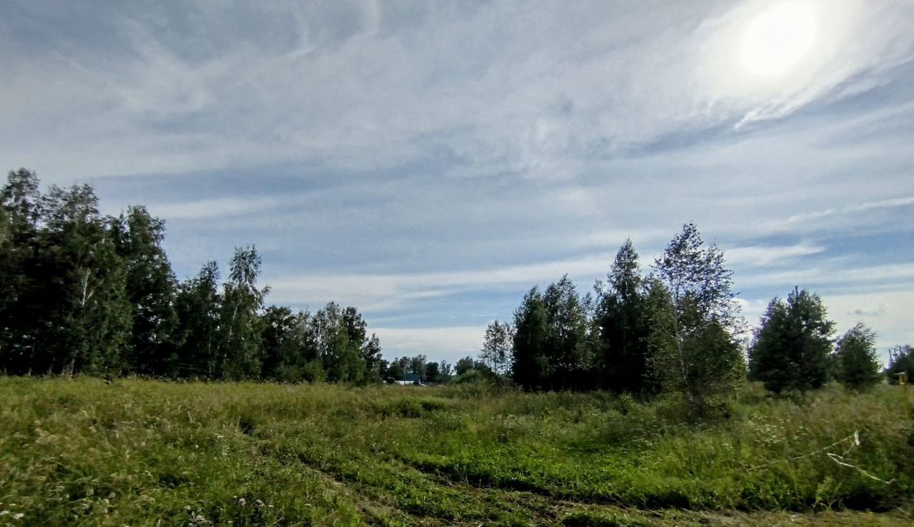 земля р-н Первомайский с Санниково ул Научная Барнаул фото 13