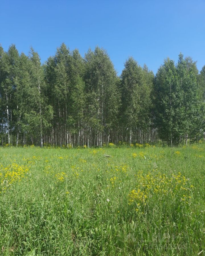 земля р-н Завьяловский д Старые Кены Ижевск фото 1