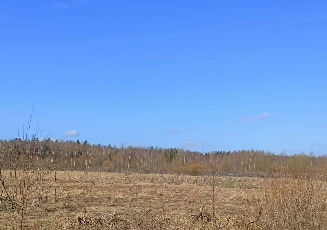 земля р-н Всеволожский п Янино-1 ул Заводская Дорога жизни, 1 км, городской пос. Янино-1 фото 6