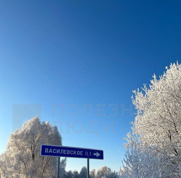 земля р-н Новгородский д Васильевское Ракомское с/пос, 12 фото 9