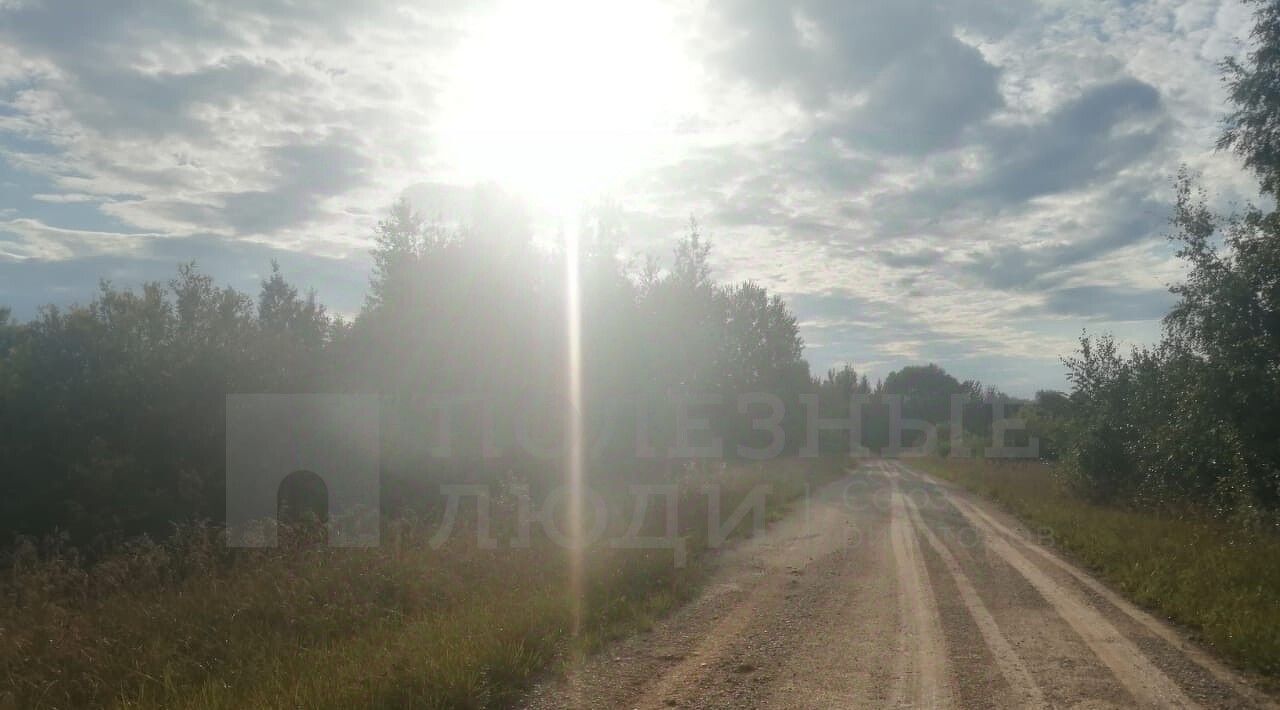 земля р-н Новгородский д Васильевское Ракомское с/пос, 12 фото 12