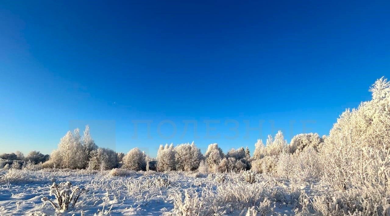 земля р-н Новгородский д Васильевское Ракомское с/пос, 12 фото 16