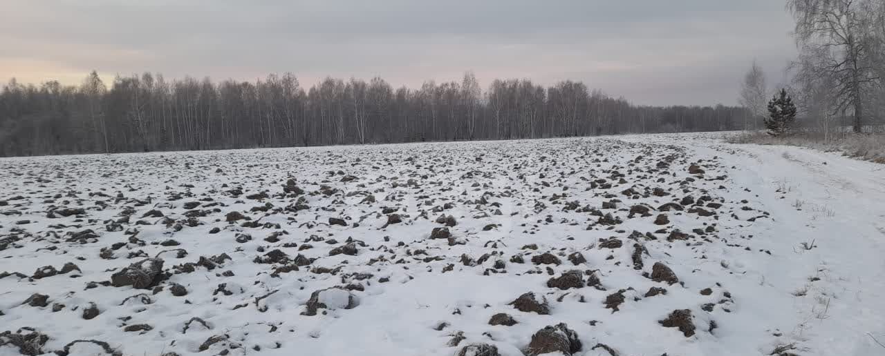 земля р-н Нижнетавдинский п Чугунаево Нижняя Тавда фото 1