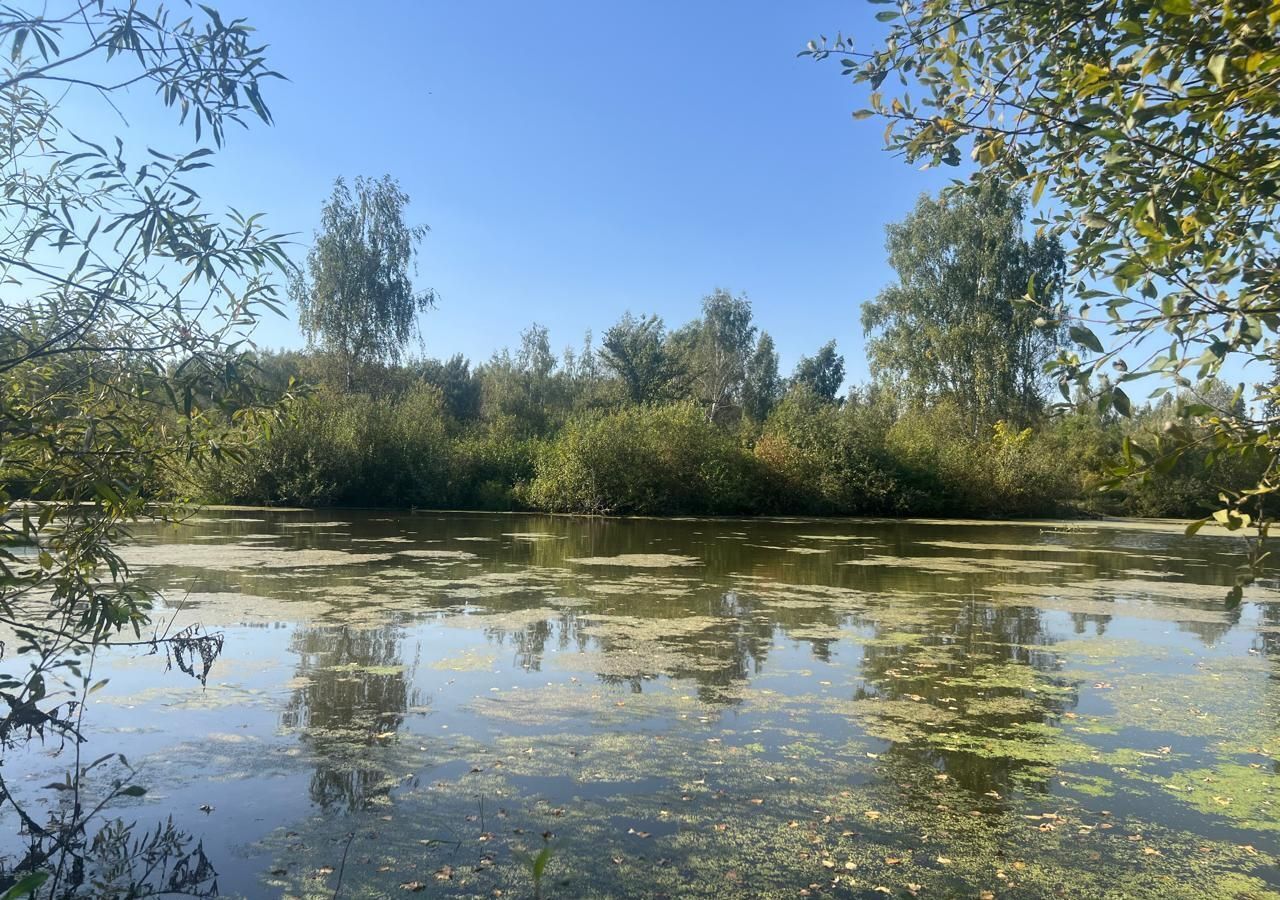 земля городской округ Ступино с Константиновское 51 км, Михнево, Новокаширское шоссе фото 1