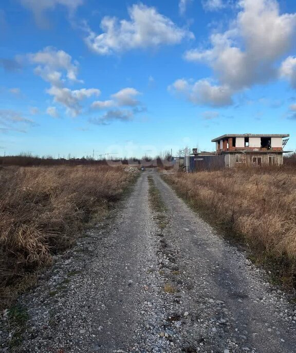 земля р-н Зеленоградский г Зеленоградск п Клинцовка фото 1