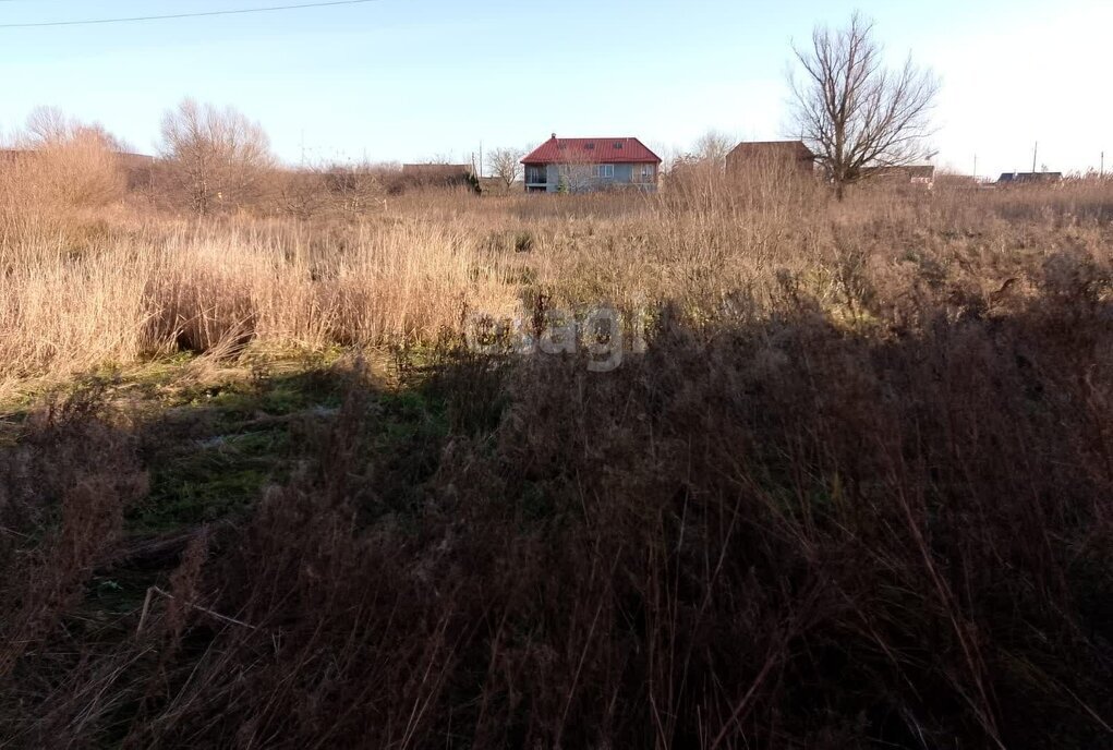 земля р-н Зеленоградский г Зеленоградск п Вишневое фото 1