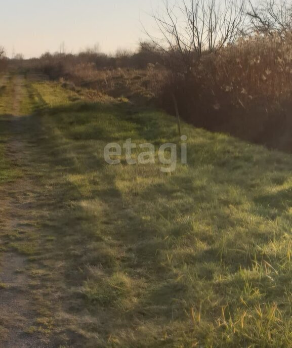 земля г Светлый п Люблино Светловский городской округ фото 3