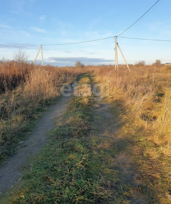 земля г Светлый п Люблино Светловский городской округ фото 2