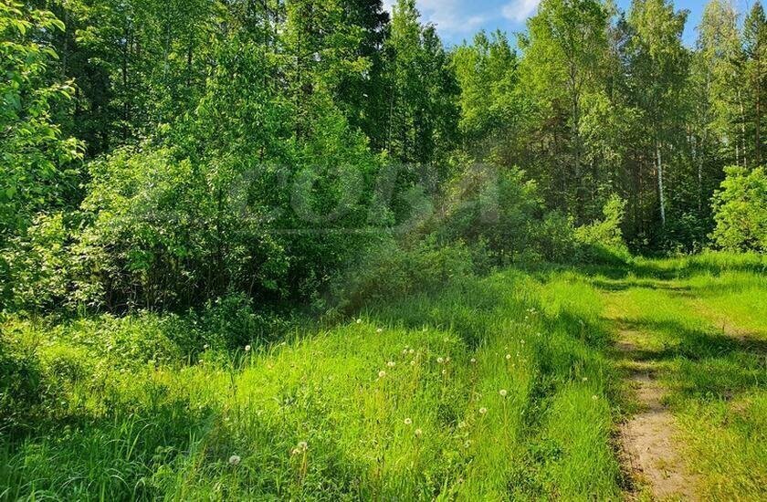 земля р-н Нижнетавдинский с Тюнево фото 1