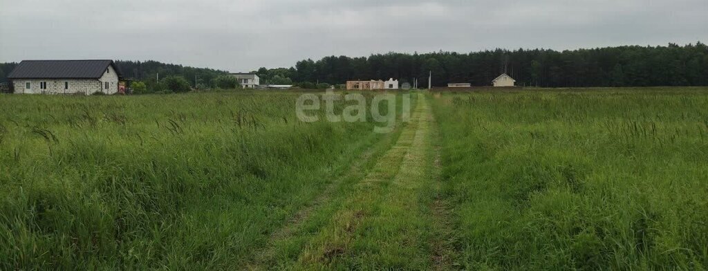 земля г Светлый п Люблино Светловский городской округ фото 3