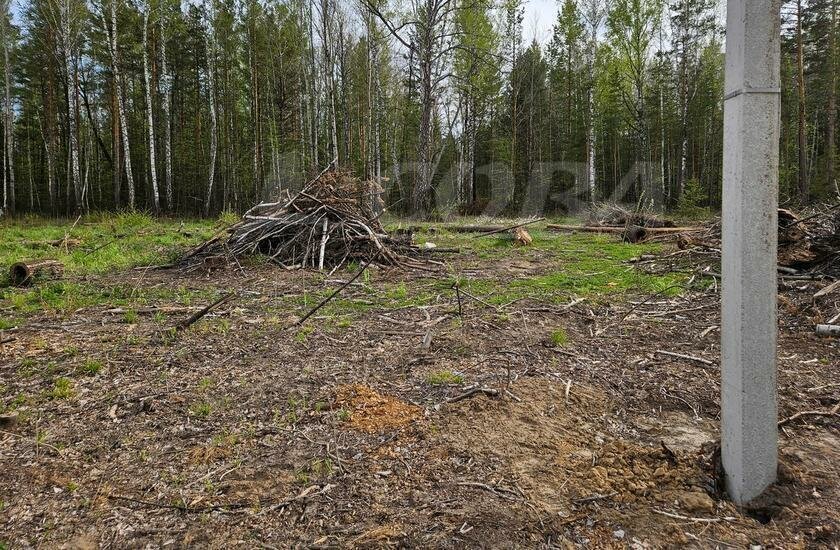 земля р-н Нижнетавдинский с Тюнево фото 3