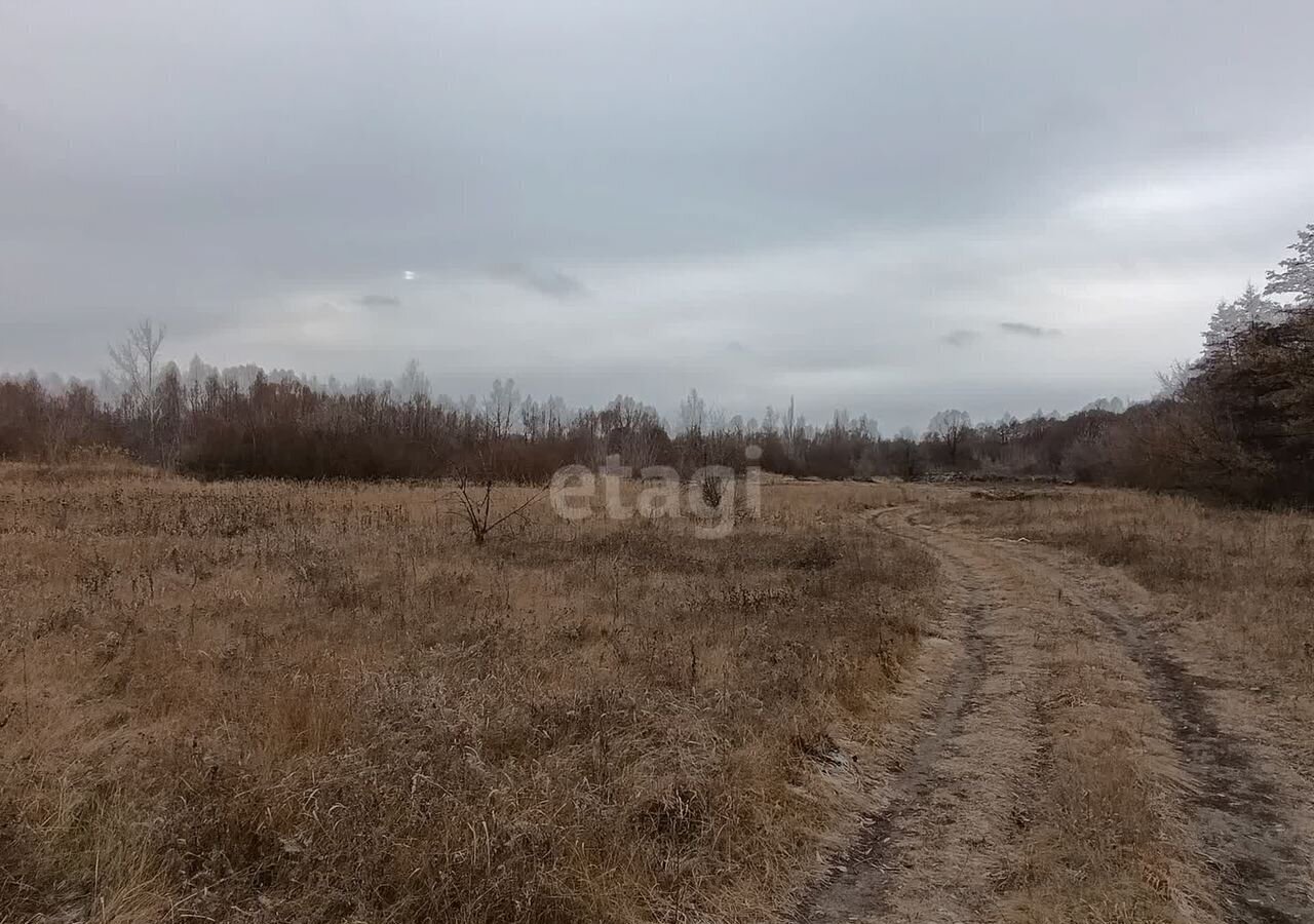 земля г Ульяновск р-н Ленинский фото 3