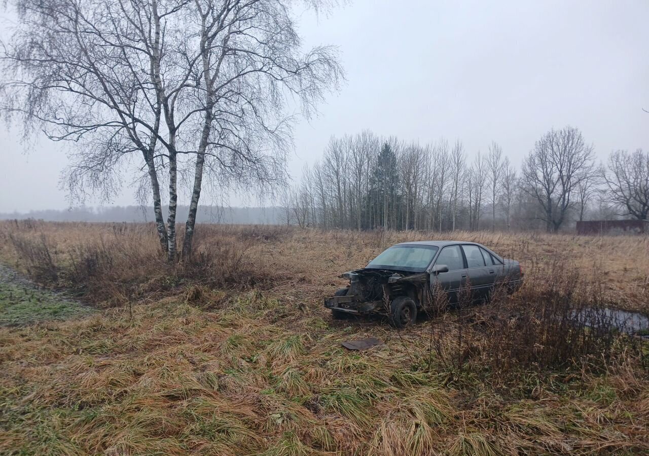 земля р-н Псковский д Алабышево Тямшанская волость, Псков фото 1