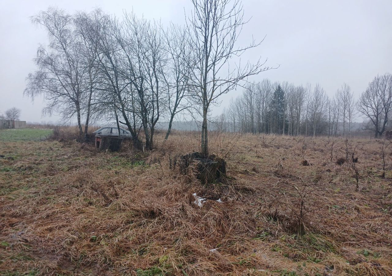 земля р-н Псковский д Алабышево Тямшанская волость, Псков фото 3