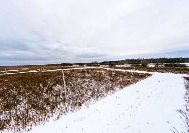 земля д Большие Акияры Червишево фото