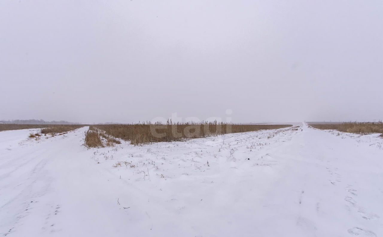 земля г Тюмень р-н Калининский ул. Червишевский Тракт фото 5