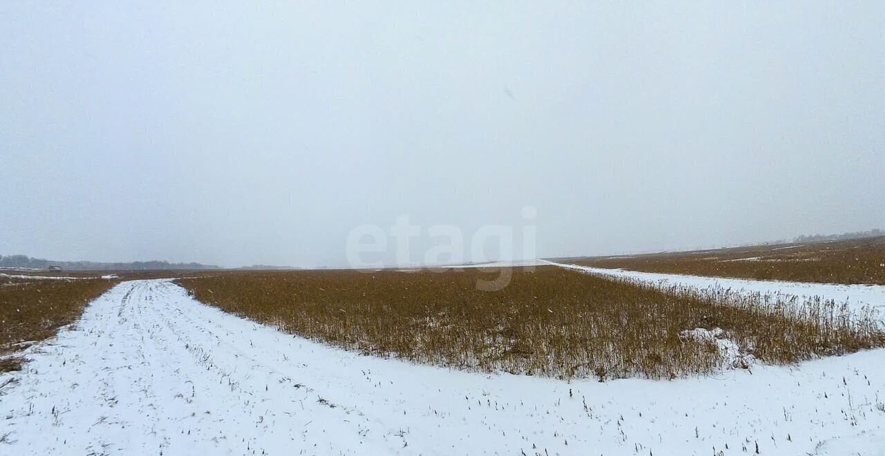 земля г Тюмень р-н Калининский ул. Червишевский Тракт фото 16