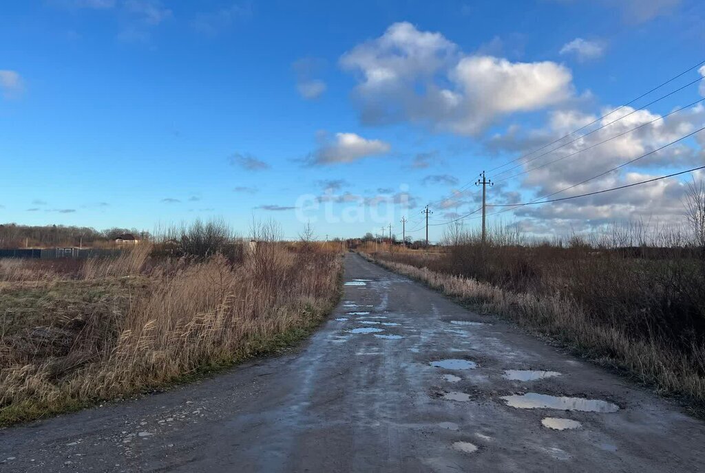 земля р-н Зеленоградский г Зеленоградск п Клинцовка фото 6