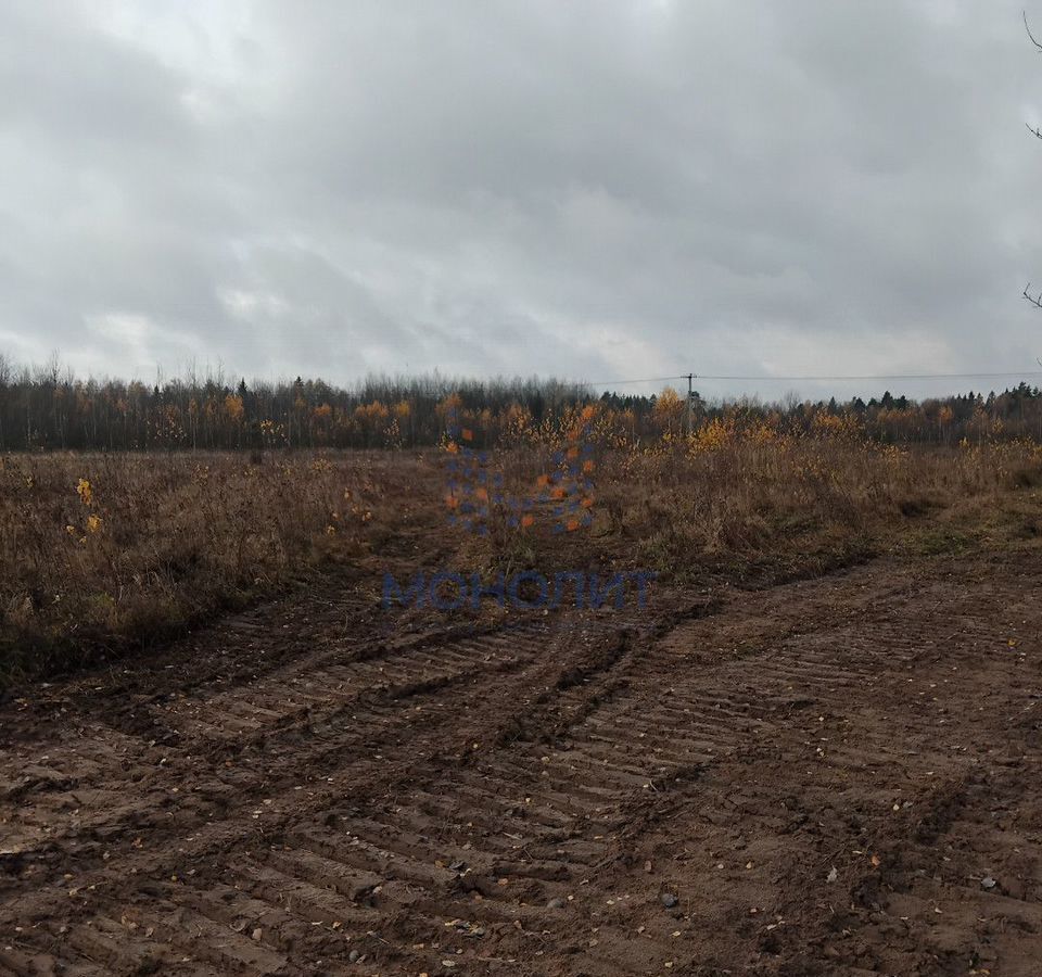 земля городской округ Раменский д Федино 40 км, Бронницы, Рязанское шоссе фото 2