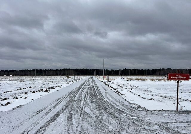 Тюменская область, Успенка фото