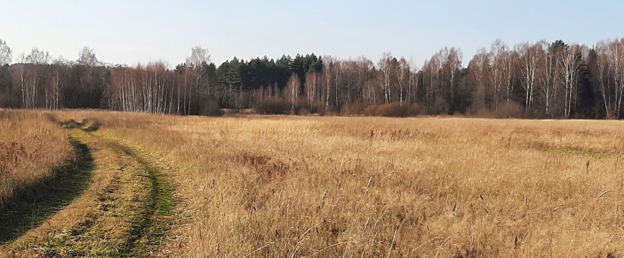 земля городской округ Сергиево-Посадский д Горюшка 89 км, Богородское, Ярославское шоссе фото 8