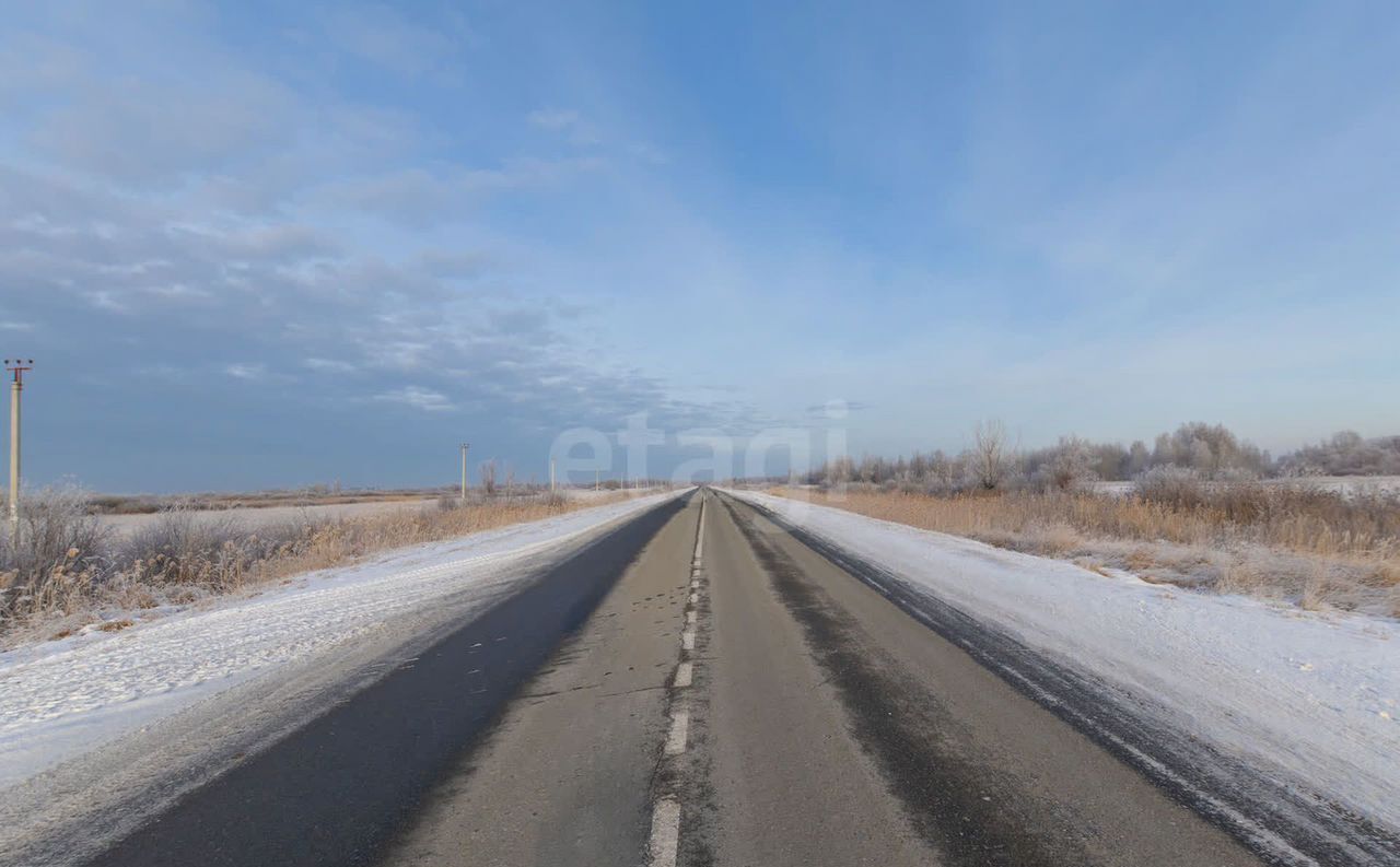 земля р-н Тюменский с Борки Каскара фото 15