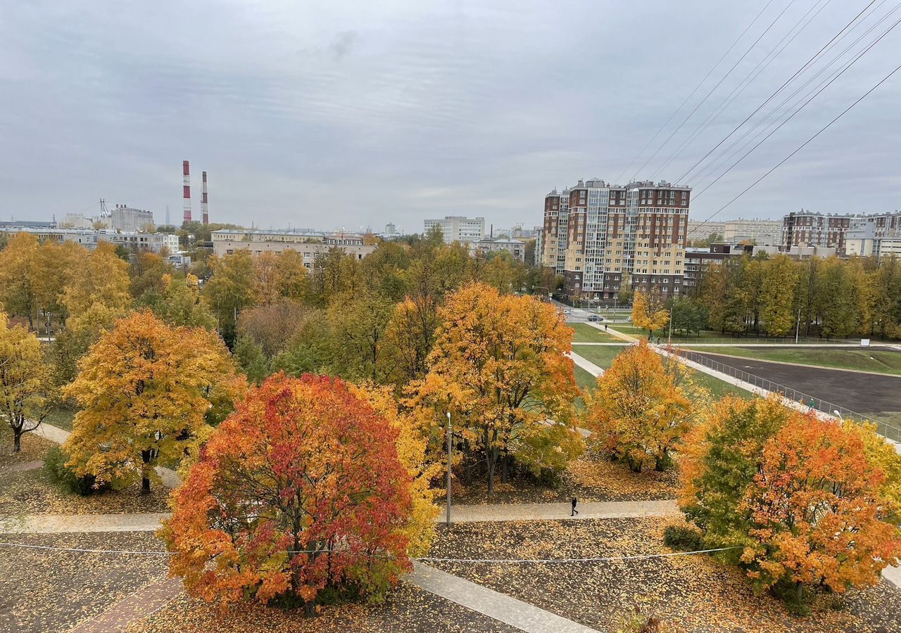 квартира г Санкт-Петербург метро Площадь Ленина пр-кт Полюстровский 37к/2 фото 13